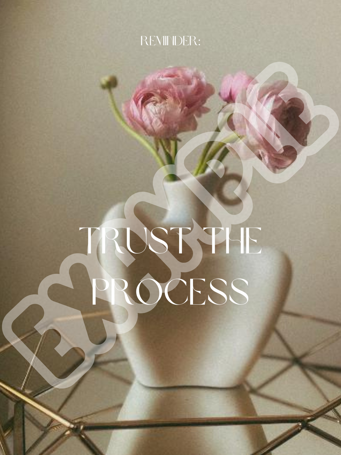 Reminder: Trust The Process | Wall Art Quote